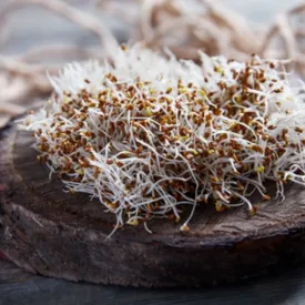 Микрозелень люцерны, 30 г